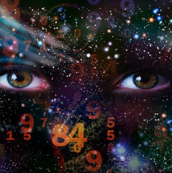numerology for adults